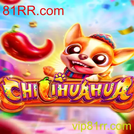 Descubra o Fascinante Mundo de 'CHILIHUAHUA' com 81RR.com